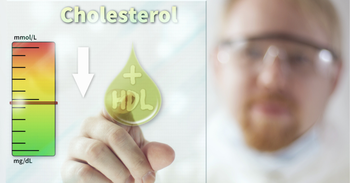 Vplyv suplementácie magnézia na sérové hodnoty lipidového profilu