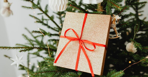 JULENISSEN: Príbeh nórskeho vianočného škriatka