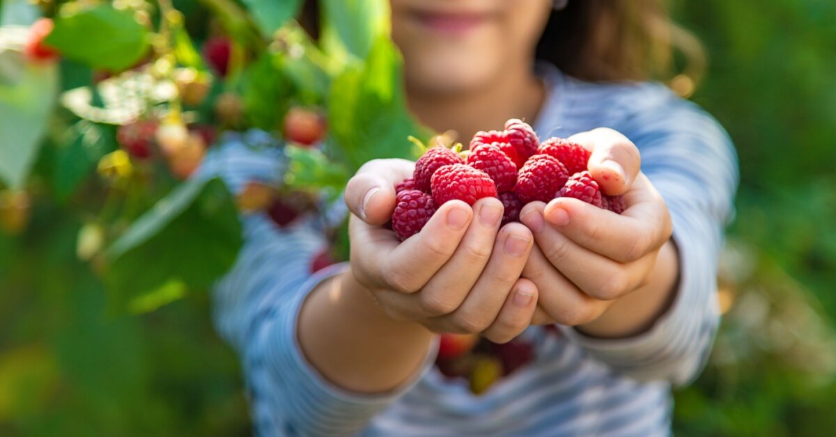 Najlepšie prírodné antioxidanty v potravinách – prejedzte sa k zdraviu!