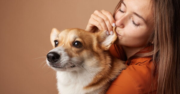 Omega-3 pre psov a mačky: moderná cesta k zdraviu srsti a vitalite