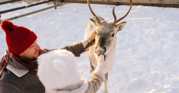 Ako oslavujú advent a Vianoce Sámovia, pôvodní obyvatelia Nórska
