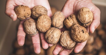 Jedlé gaštany, vlašské orechy a pohánka majú práve sezónu. Viete, že sú nesmierne výživné?