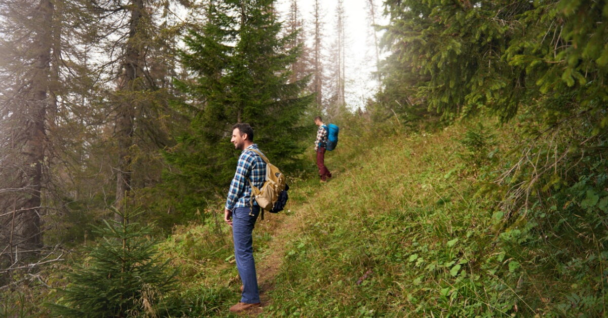 Prostata – najčastejšie otázky o prostate