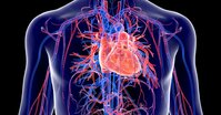 Omega-3 a kardiovaskulárne ochorenia