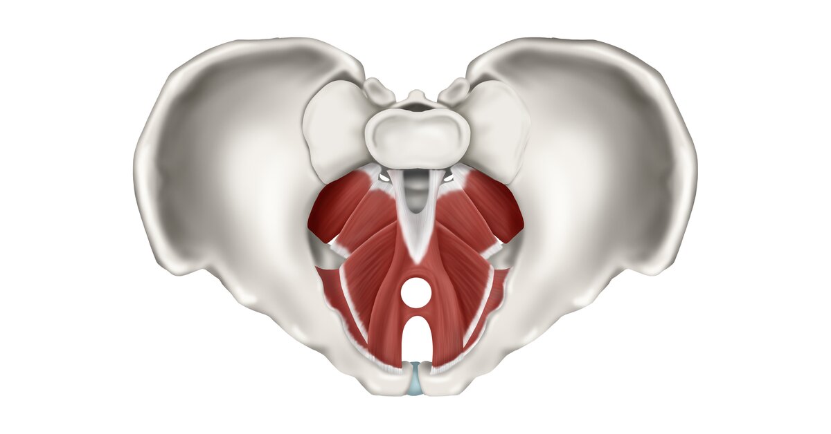 pánvové dno - ilustračný obrázok