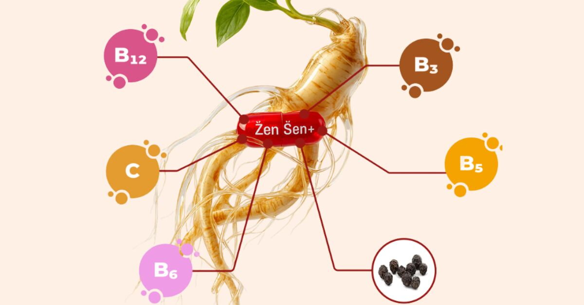 Ktoré vitamíny a výťažky nájdete v zložení ŽenŠen Energy+?