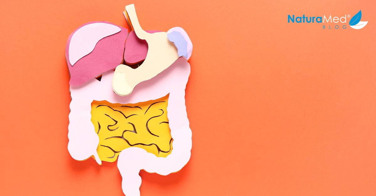 Tráviaci systém: Akú rolu hrá vápnik pri trávení