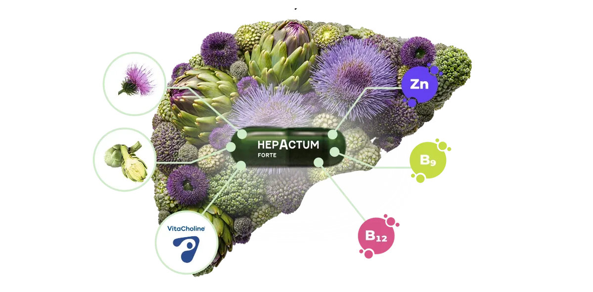Prírodná podpora pečene: vyskúšajte Hepactum zadarmo na 1 mesiac